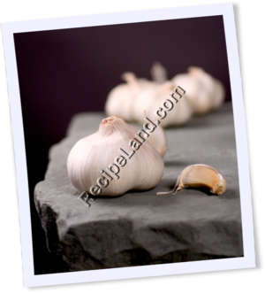 Recipe Photo