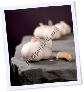 Recipe Photo