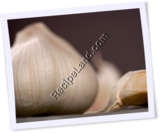 Recipe Photo