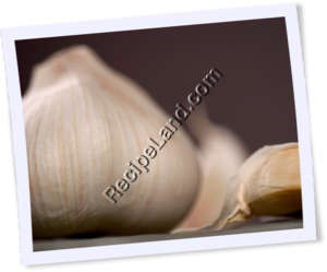 Recipe Photo
