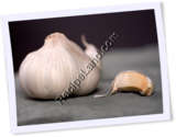 Recipe Photo