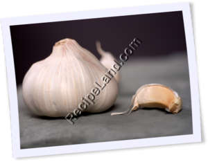 Recipe Photo
