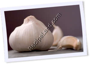 Recipe Photo