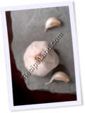 Recipe Photo