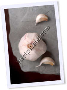 Recipe Photo