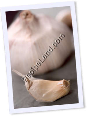 Recipe Photo