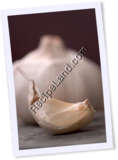 Recipe Photo