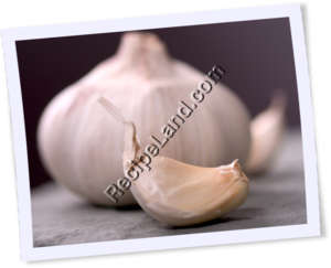 Recipe Photo