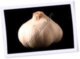 Recipe Photo