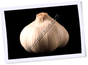 Recipe Photo