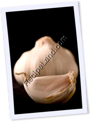 Recipe Photo