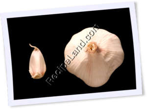 Recipe Photo