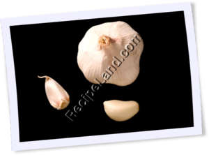 Recipe Photo