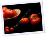 Recipe Photo