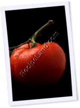 Recipe Photo