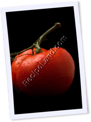 Recipe Photo