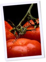 Recipe Photo