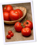 Recipe Photo