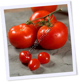 Recipe Photo
