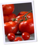 Recipe Photo