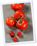 Recipe Photo