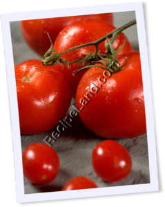 Recipe Photo