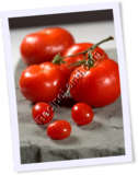 Recipe Photo