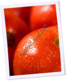 Recipe Photo