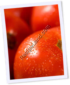 Recipe Photo