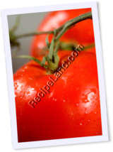Recipe Photo