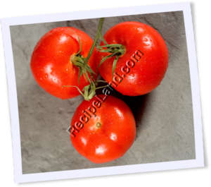 Recipe Photo