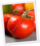 Recipe Photo