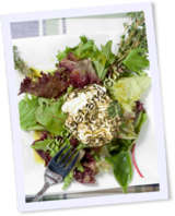 Recipe Photo