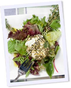 Recipe Photo