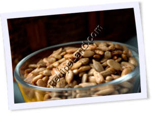 Recipe Photo