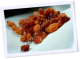 Recipe Photo