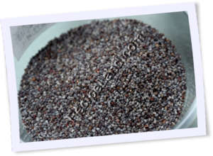 Recipe Photo