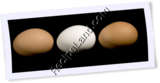 Recipe Photo
