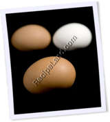 Recipe Photo