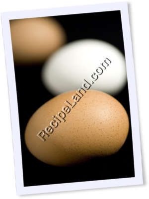 Recipe Photo