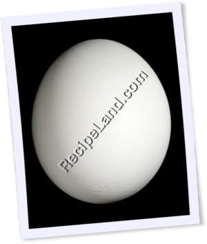 Recipe Photo