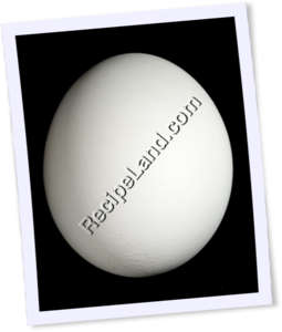 Recipe Photo