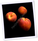 Recipe Photo