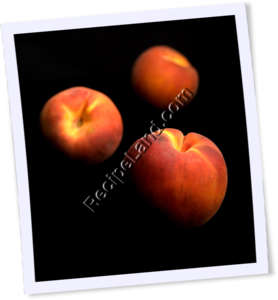 Recipe Photo