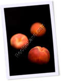 Recipe Photo