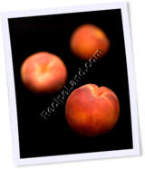 Recipe Photo