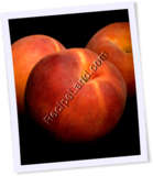 Recipe Photo