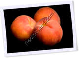 Recipe Photo