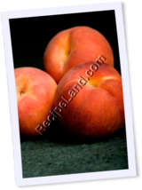 Recipe Photo