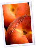 Recipe Photo